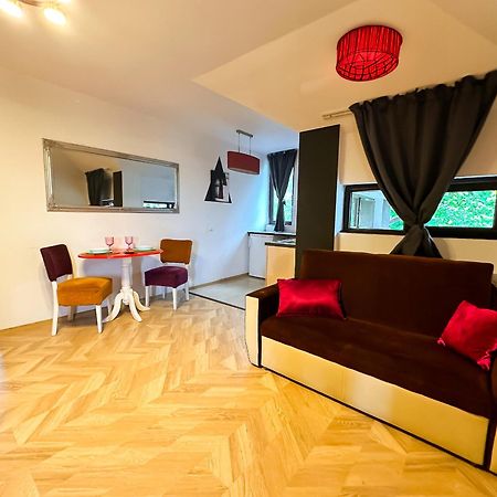 The Vintage - Wonderful Apartment In Best Location Крайова Экстерьер фото