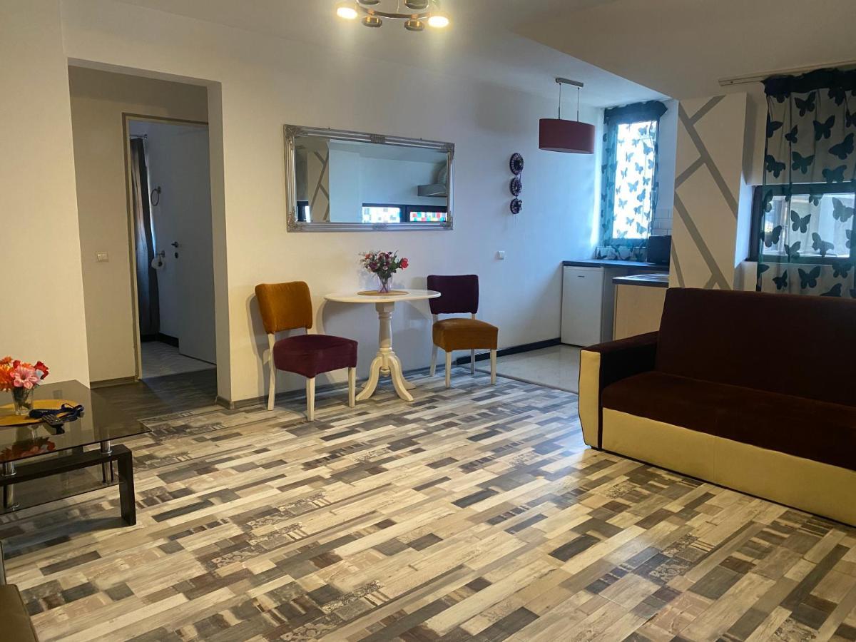 The Vintage - Wonderful Apartment In Best Location Крайова Экстерьер фото