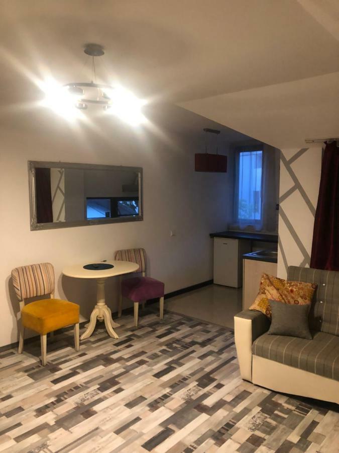 The Vintage - Wonderful Apartment In Best Location Крайова Экстерьер фото